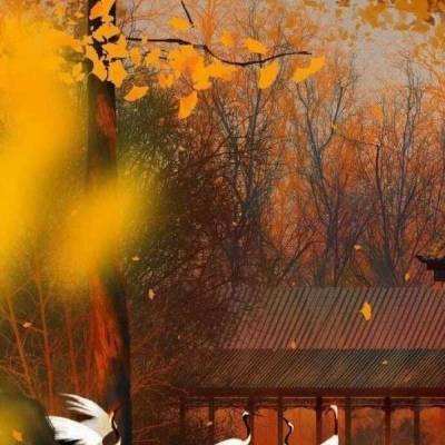 黎明神域官方下载